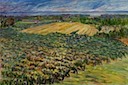 View Across the Vineyard