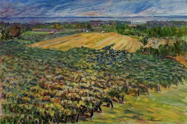 View Across the Vineyard